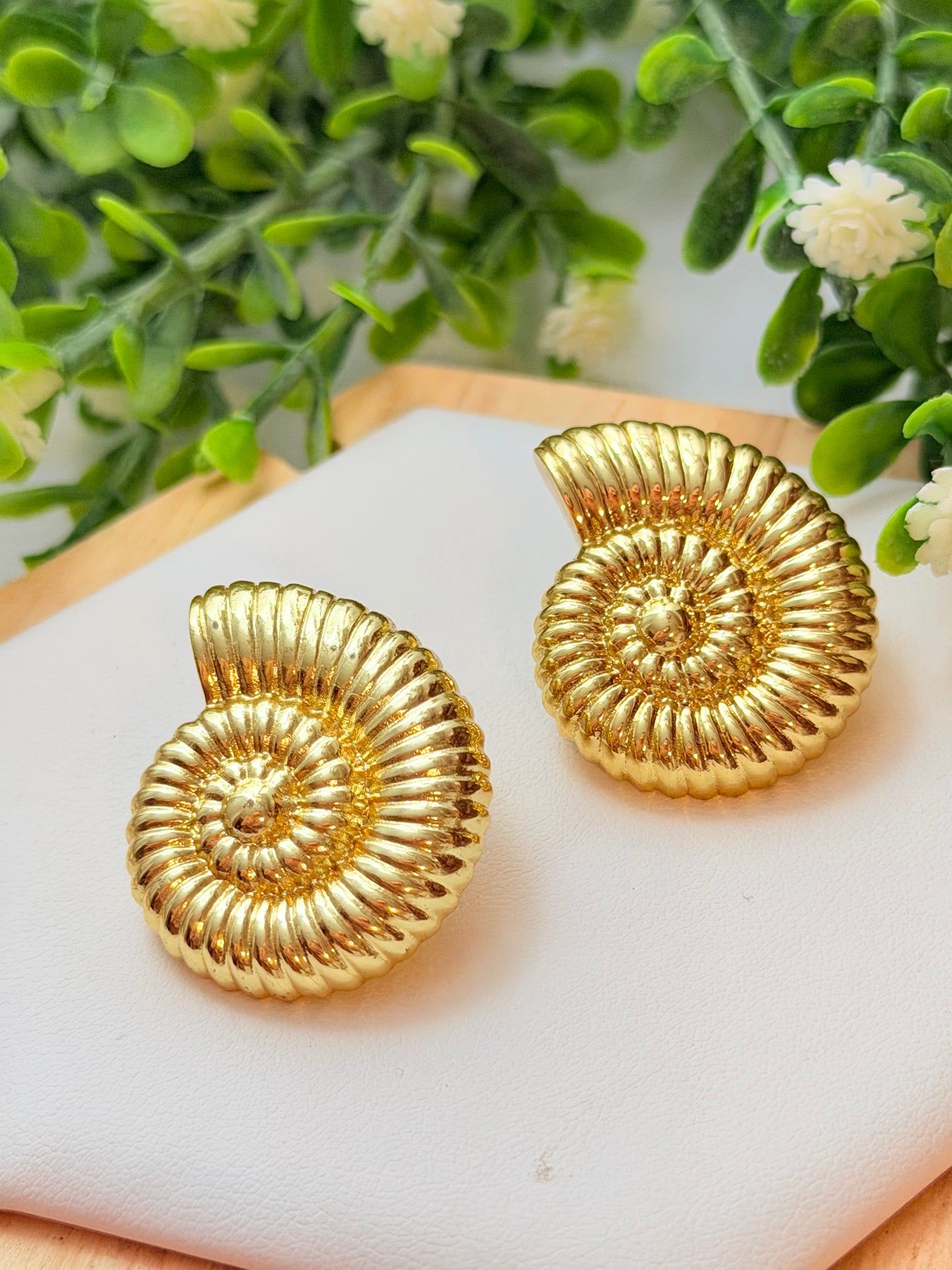 Pantallas de caracol