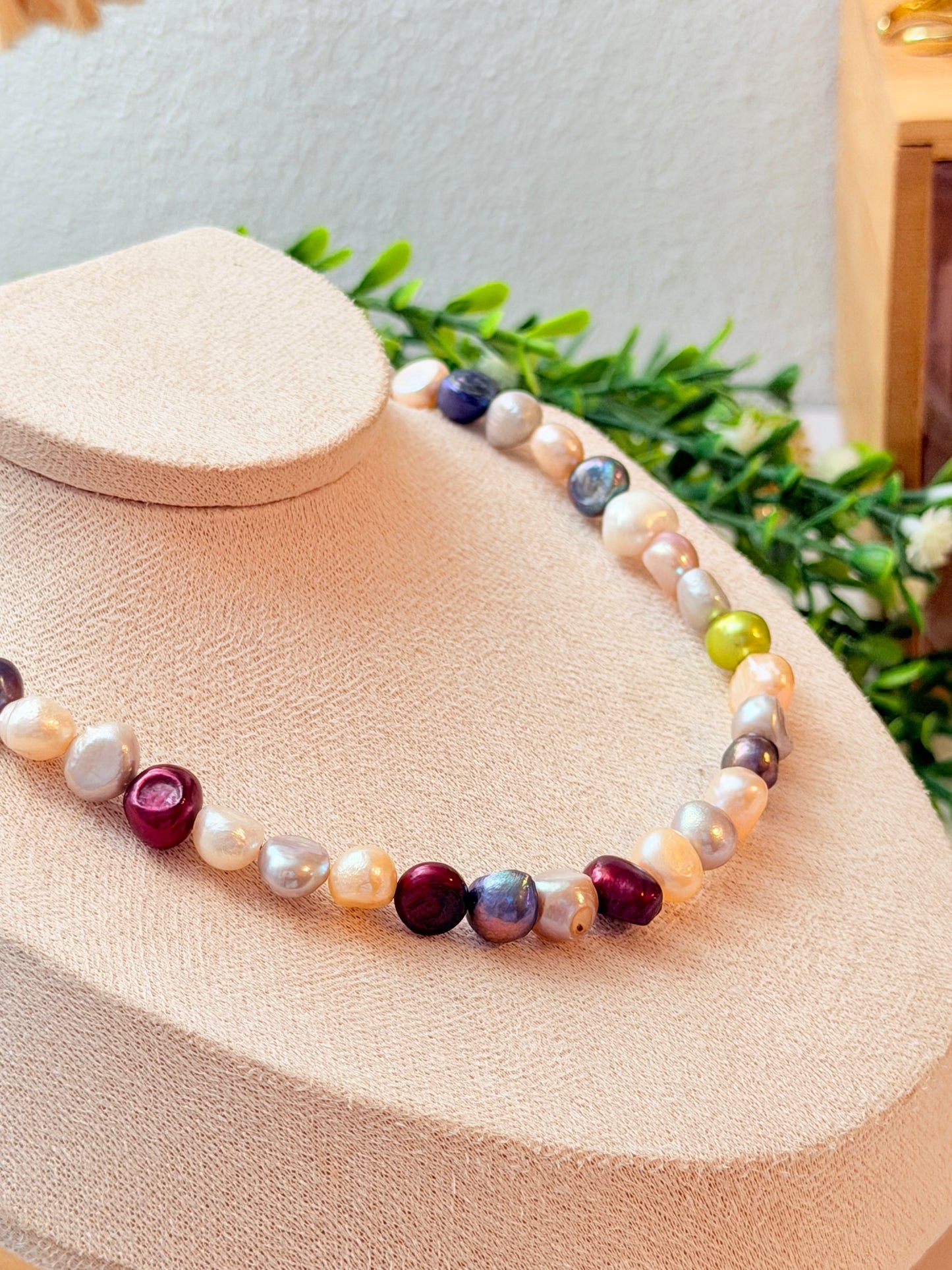 Perla multicolor