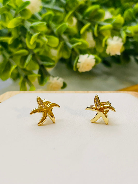 Estrellita lisa